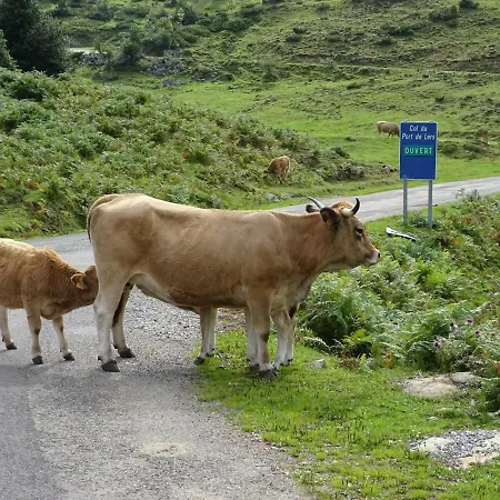 Les Deux Velos D'hotes-table D'hotes Hotel Biert