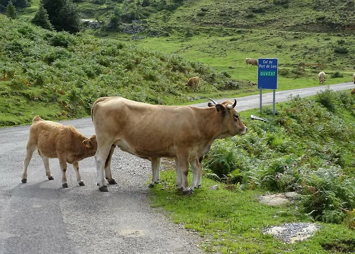 Les Deux Velos D'hotes-table D'hotes فندق Biert